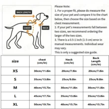 宠物连体衣 - 薄荷綠 - 查看 3