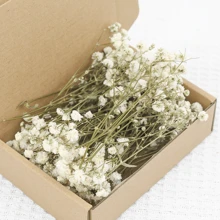 50/100 pièces Fleurs artificielles de mini-gypsophile blanche pure - délicates, durables et faciles DIY pour la décoration de mariage, de la maison, du bureau, de fête et du jardin - couronne de style bohème de dessus de table, sans électricité, convient pour Noël, Thanksgiving et Halloween