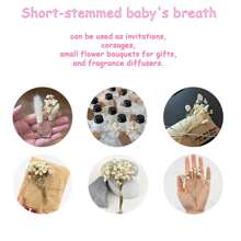 50/100 pièces Fleurs artificielles de mini-gypsophile blanche pure - délicates, durables et faciles DIY pour la décoration de mariage, de la maison, du bureau, de fête et du jardin - couronne de style bohème de dessus de table, sans électricité, convient pour Noël, Thanksgiving et Halloween