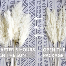 10/15 件人造蒲苇 - 不脱落的蒲苇花瓶填充物，多用途装饰，适合圣诞节、感恩节、新年、情人节、母亲节 - 非常适合婚礼、派对、波西米亚风格家居和农舍中心装饰