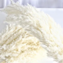 10/15 件人造蒲苇 - 不脱落的蒲苇花瓶填充物，多用途装饰，适合圣诞节、感恩节、新年、情人节、母亲节 - 非常适合婚礼、派对、波西米亚风格家居和农舍中心装饰