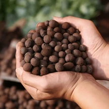 1 Galón de perlas cerámicas medianas, transpirables y absorbentes de agua, arcilla cocida y carbón, paisajismo de jardín, camas de macetas, adecuadas para el cultivo doméstico