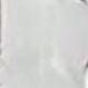 彩色