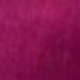 Violet Purple