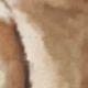 بني
