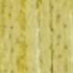 Amarillo Oro