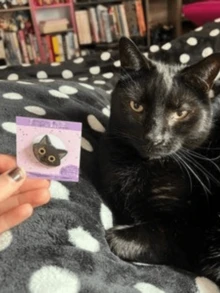 1枚定制猫咪胸针，可爱猫头胸针，个性化猫咪胸针，送给爱猫人士的礼物，卡哇伊小猫胸针，个性化宠物徽章，定制猫咪胸针，服装配饰，万圣节特辑，送给男朋友，女朋友，家人，朋友，新年魅力 - 彩色 - 查看 4