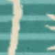الأسود