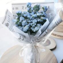 Bestäuber Oasis: 2000 Myosotis Seeds For Rooftop Gardens And Farm Edges ​