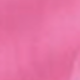 Rosa Fucsia