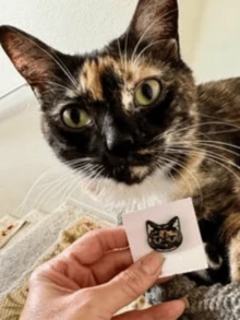 1枚定制猫咪胸针，可爱猫头胸针，个性化猫咪胸针，送给爱猫人士的礼物，卡哇伊小猫胸针，个性化宠物徽章，定制猫咪胸针，服装配饰，万圣节特辑，送给男朋友，女朋友，家人，朋友，新年魅力 - 彩色 - 查看 5