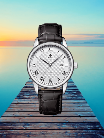  BIDEN男士商务时尚石英表，男士皮革手表，送礼的理想之选