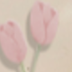粉色