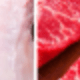 Butcher's