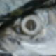 Fishmonger