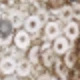 Thanksgiving Glitter Champagne-7
