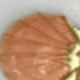 Hồng