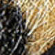 estampado de leopardo