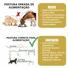 MUNDO DA PORCELANA Double Elevated Drinking Bowl For Dogs Cats In Porcelain 320ml White Pink Green - Green - View 6