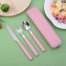 4 件套不锈钢餐具套装（刀、叉、勺），带 PVC 收纳盒 // 304 不锈钢轻质且可重复使用 | 烧烤用具，适用于露营、旅行、户外野餐、大篷车、家庭聚会 | 适合露营者，（粉色/蓝色/绿色）（沙特国庆日）
