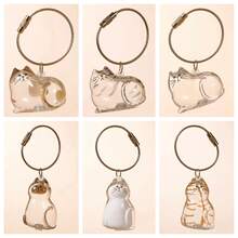 透明猫毛收纳盒收纳袋挂件，拉杆卡通猫毛胶囊袋钥匙扣纪念宠物毛袋，多功能便携式猫狗毛收纳袋，袋挂件袋饰挂件绳袋挂件袋饰装饰挂件袋饰钥匙扣袋饰配件适合旅行， - 彩色 - 查看 1