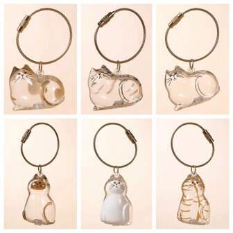 透明猫毛收纳盒收纳袋挂件，拉杆卡通猫毛胶囊袋钥匙扣纪念宠物毛袋，多功能便携式猫狗毛收纳袋，袋挂件袋饰挂件绳袋挂件袋饰装饰挂件袋饰钥匙扣袋饰配件适合旅行，