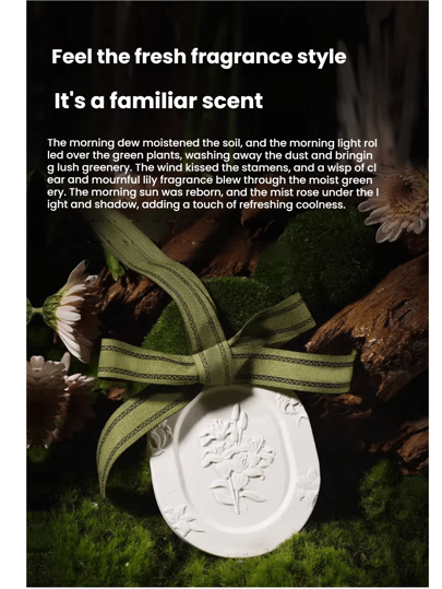 1 pieza, Pastillas de yeso aromáticas, Fragancia sólida, Colgante y expansión de aromaterapia sólida para el hogar para eliminar olores y mejorar la fragancia, mejorando la calidad de vida