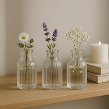 Mini Glass Vase Lines 9.5cm Transparent Modern Decoration Living Room Flowers - Trong sáng - Xem 3