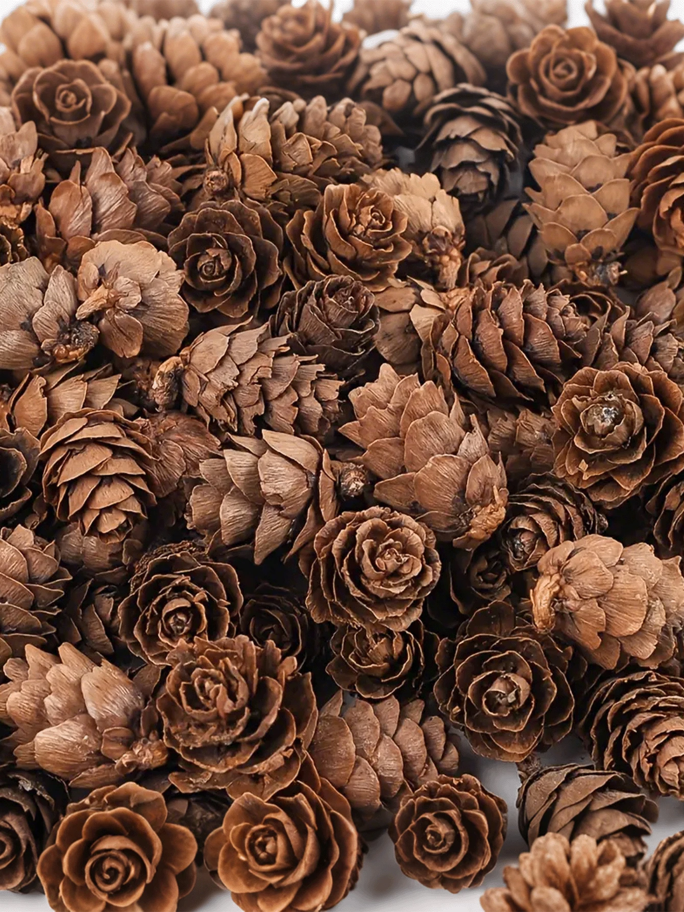 50 de decorațiuni de Crăciun din conuri de pin mici, decorațiuni de Crăciun din conuri de pin mici de 0,8-1,9 in (2-3 cm) pentru Ziua Recunoștinței, mini conuri de pin naturale, potrivite pentru masă, decor pentru casă, umplutură pentru vaze, decorațiuni DIY pentru artizanat din conuri de pin, decor pentru festivalul de toamnă