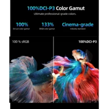 Uperfect Tragbarer Gaming-Monitor UPERFECT 18" B01 144Hz 100%DCI-P3 IPS 2560*1600