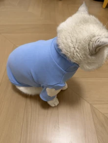 1件宠物狗保暖毛衣，爱心印花，适合泰迪犬、博美犬、马尔济斯犬、猫咪等，秋冬季款式 - 彩色 - 查看 7