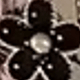 flores negras