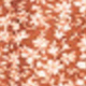 Orange Blossom
