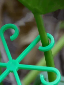 4个装耐用植物支撑夹：坚固的茎夹，适用于攀援植物 - 塑料材质。4个装耐用植物支撑夹：坚固的茎夹，适用于攀援植物 - 塑料材质。适用于各种茎类植物。提供牢固稳定的支撑，防止植物倒伏。 - 彩色 - 查看 8