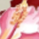 彩色