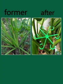 4个装耐用植物支撑夹：坚固的茎夹，适用于攀援植物 - 塑料材质。4个装耐用植物支撑夹：坚固的茎夹，适用于攀援植物 - 塑料材质。适用于各种茎类植物。提供牢固稳定的支撑，防止植物倒伏。 - 彩色 - 查看 5