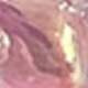 粉色