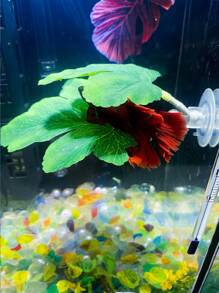 Trasforma il tuo acquario con le foglie di riposo per il pesce Betta, decorazioni in plastica per acquari a forma di erba acquatica, perfette per la riproduzione del pesce Betta