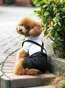 Conjunto de vestido a rayas formal para perros, adecuado para bodas y fiestas, con lazo - Ropa elegante para mascotas apta para ocasiones especiales