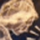 HADA CON LUNA