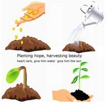 1000 Pieces Of Rare Red And Black Roses Suitable For Planting