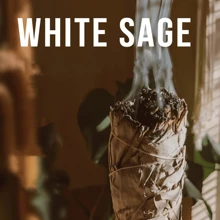 Sage Aromatherapy Cleansing Kit, Contains White Sage, Cedarwood, Dragon's Blood Sage, Eucalyptus And Lavender Incense Sticks, Combination Gift Set For Spiritual Aromatherapy Energy Cleansing, Meet Different Needs