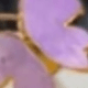 彩色