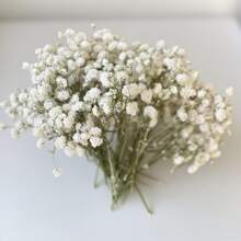 110pcs White Mini Dried Flowers, Great For DIY Decor, Greeting Cards, Weddings, Home And Office Decoration