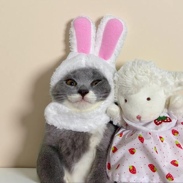 Sombrero con orejas de conejo para perros y gatos - Disfraz de mascota de conejo lindo, diadema suave de felpa en blanco y rosa, atuendo adorable para mascotas pequeñas, accesorios para fotos de cachorros y gatitos