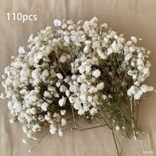 110pcs White Mini Dried Flowers, Great For DIY Decor, Greeting Cards, Weddings, Home And Office Decoration
