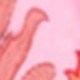 Watermelon Pink