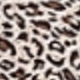 Leopardo