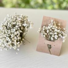 110pcs White Mini Dried Flowers, Great For DIY Decor, Greeting Cards, Weddings, Home And Office Decoration