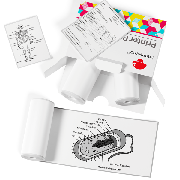 Phomemo Phomemo weiß selbstklebendes Thermopapier, glänzendes bedruckbares Aufkleber-Etikettenpapier für Phomemo T02/M02X/M02L/Y02C/Q02/M02/M02 Pro/M02S/M03/M04S Mini Aufkleber Drucker, 50mm x 3,5m pro Rolle, Durchmesser 28mm, 3 Rollen, durchgängiges Papier pro Rolle, Haltbarkeit des Drucks 10 Jahre